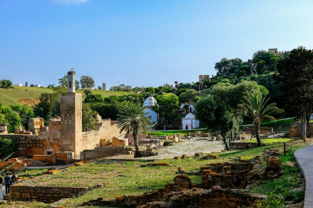 pexels mag photography 1501456 32173501